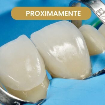 Dentistica Diplomado Certificación internacional FIASP (próximamente)